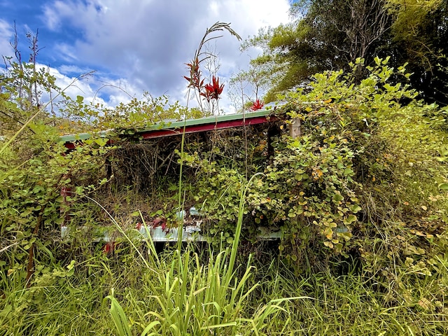 11-2736 Makoa Rd, Volcano, HI 96785 - photo 14