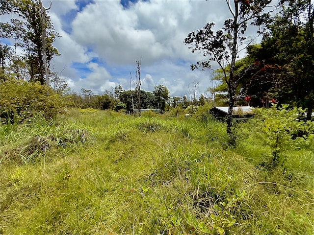 11-2736 Makoa Rd, Volcano, HI 96785 - photo 17