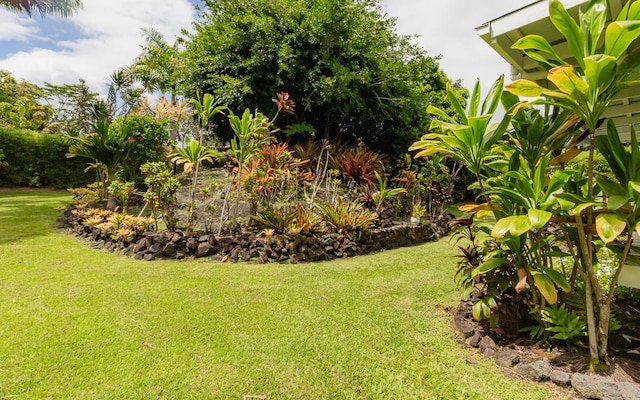 15-429 Anae St, Pahoa, HI 96778 - view of green lawn