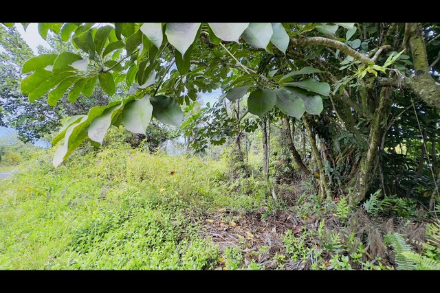 Lemiwai Rd, Keaau, HI 96749