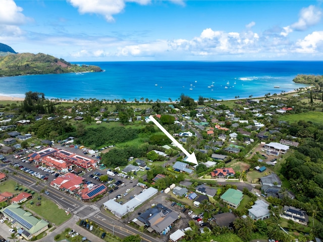 4465-A Aku Rd, Hanalei, HI 96714 - photo 3