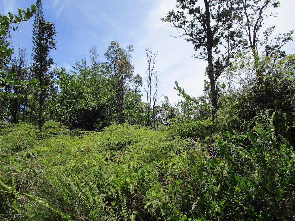 2nd Ave, Keaau, HI 96749