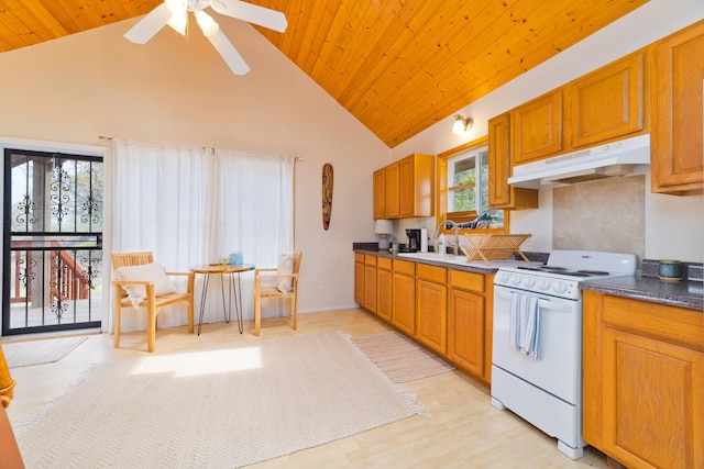 92-8618 Orchid Pkwy, Ocean View, HI 96737 - kitchen featuring white electric range oven, under cabinet range hood, wooden ceiling, plenty of natural light, and dark countertops