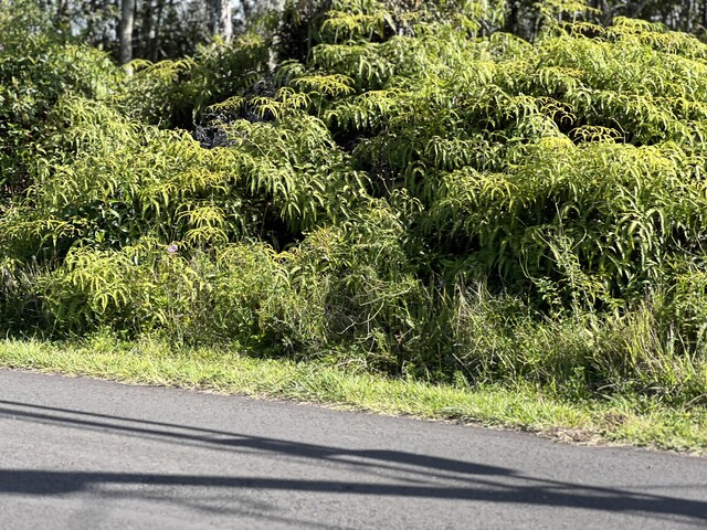 19th Ave, Keaau, HI 96749