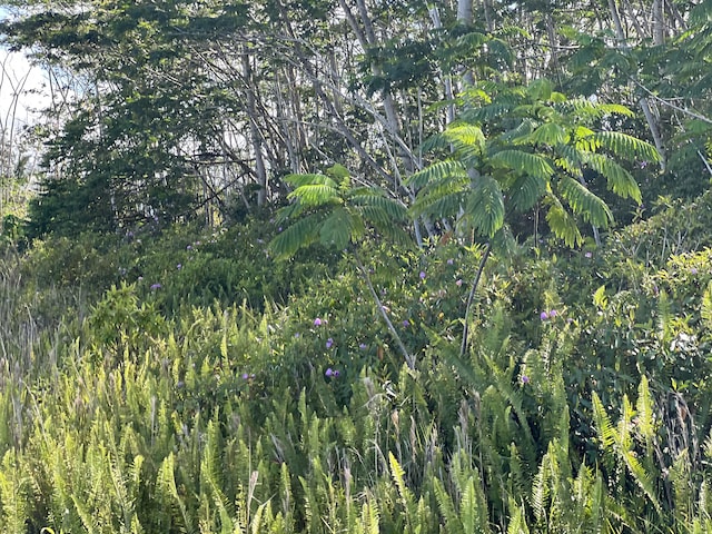 19th Ave, Keaau, HI 96749