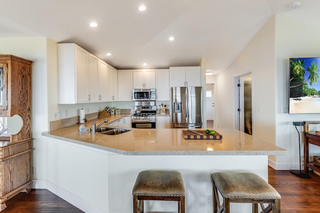 88-1965 Milolii Rd, Captain Cook, HI 96704 - kitchen featuring appliances with stainless steel finishes, a peninsula, dark wood-style floors, recessed lighting, and light stone counters