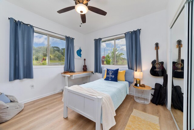 35-281 Kihalani Homestead Rd, Laupahoehoe, HI 96764 - photo 10