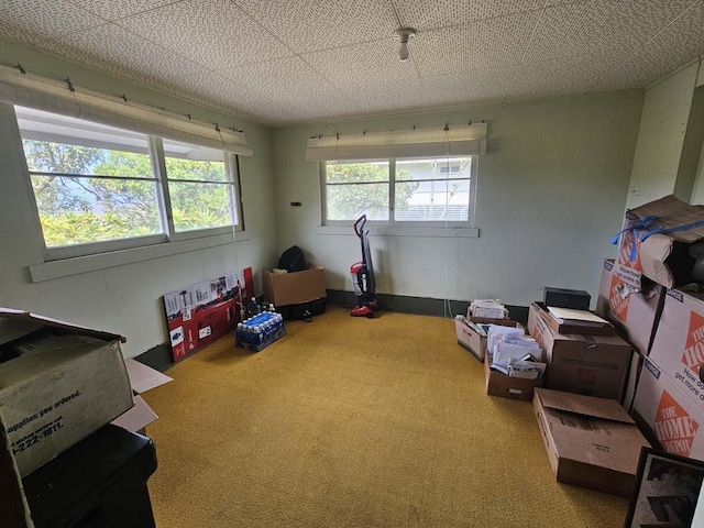 140 Palani St, Hilo, HI 96720 - game room with carpet