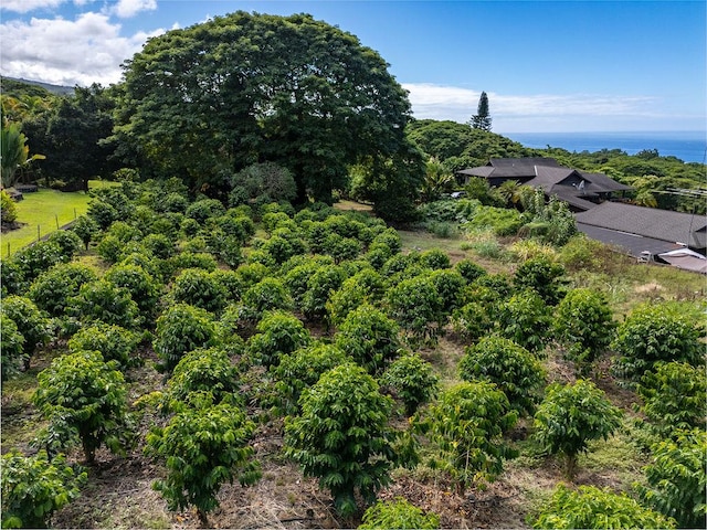 75-795 Hiona St, Kailua-Kona, HI 96740 - aerial view of a forest