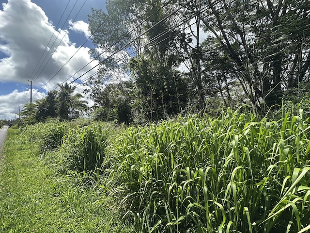 Leilani Blvd, Pahoa, HI 96778 - photo 4