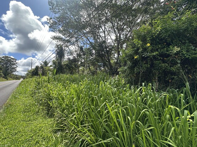 Leilani Blvd, Pahoa, HI 96778 - photo 5
