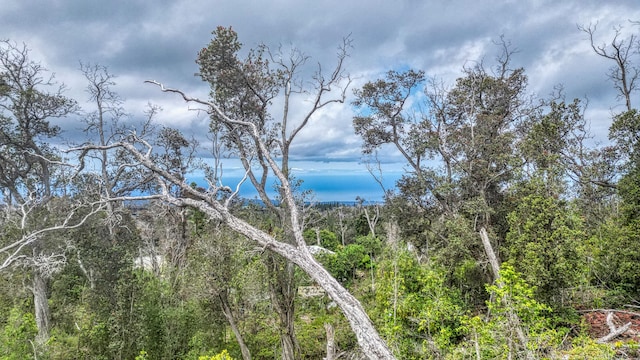 Orchid Pkwy, Ocean View, HI 96737