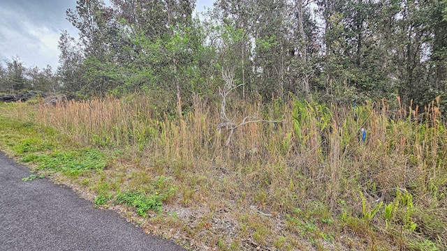 Orchid Pkwy, Ocean View, HI 96737