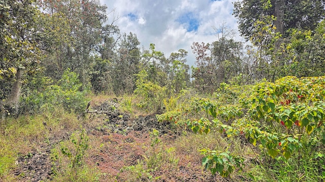 Orchid Pkwy, Ocean View, HI 96737
