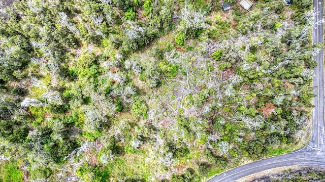 Orchid Pkwy, Ocean View, HI 96737