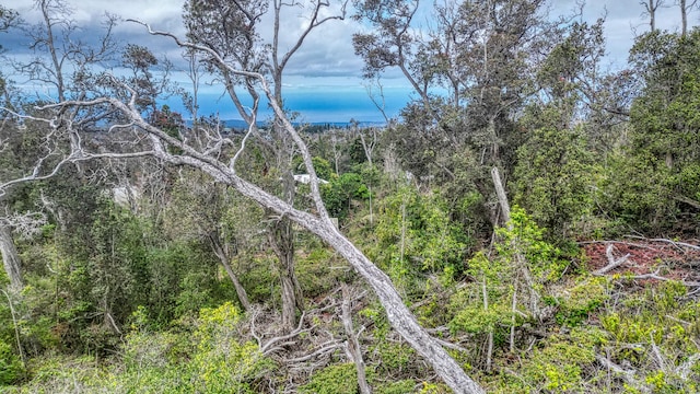 Orchid Pkwy, Ocean View, HI 96737