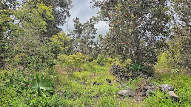 Orchid Pkwy, Ocean View, HI 96737
