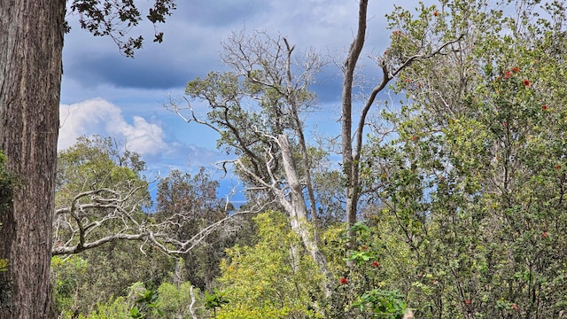 Orchid Pkwy, Ocean View, HI 96737