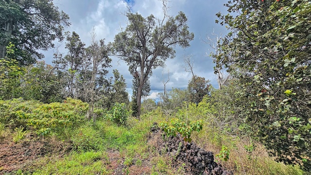 Orchid Pkwy, Ocean View, HI 96737