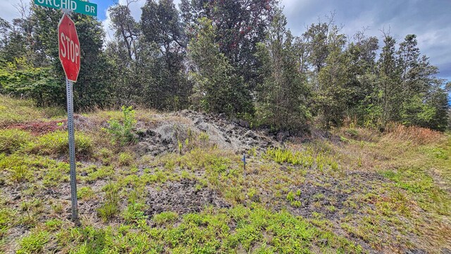 Orchid Pkwy, Ocean View, HI 96737