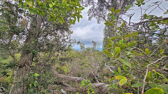 Orchid Pkwy, Ocean View, HI 96737
