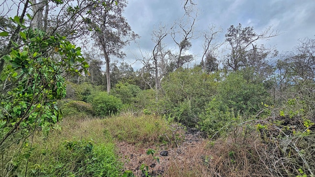 Orchid Pkwy, Ocean View, HI 96737