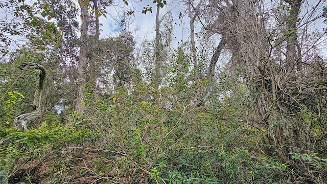Orchid Pkwy, Ocean View, HI 96737