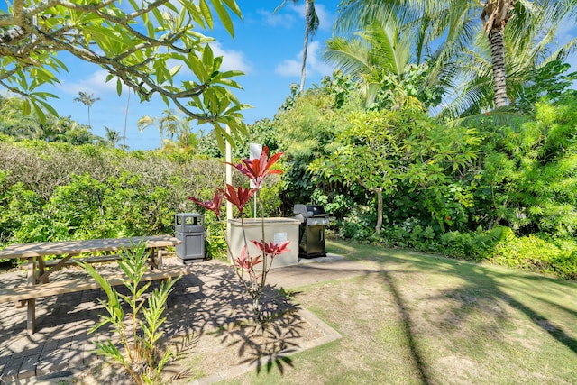 525 Aleka Lp Unit G15, Kapaa, HI 96746 - photo 18