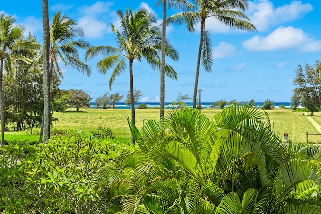 525 Aleka Lp Unit G15, Kapaa, HI 96746 - photo 23