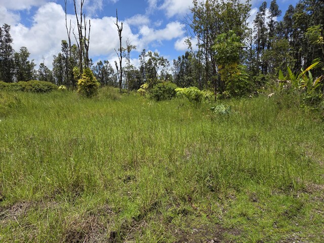 11-2806 Lehua St, Mountain View, HI 96771 - photo 28