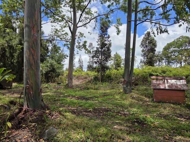 11-2806 Lehua St, Mountain View, HI 96771 - photo 29