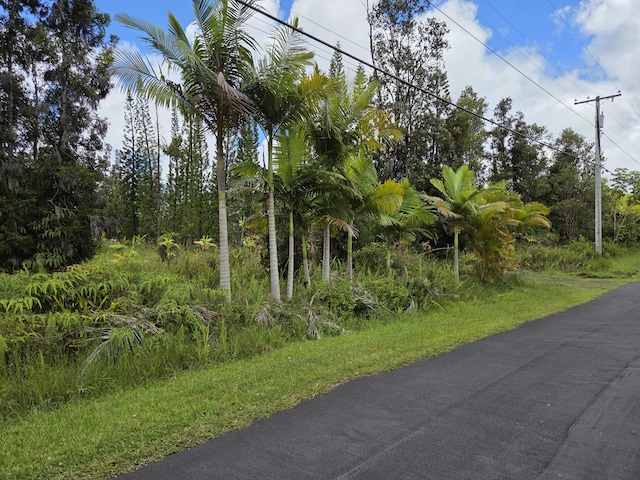11-2806 Lehua St, Mountain View, HI 96771 - photo 2
