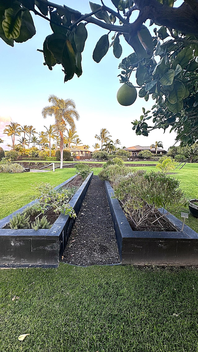 Pukaua Pl, Kamuela, HI 96743 - photo 4