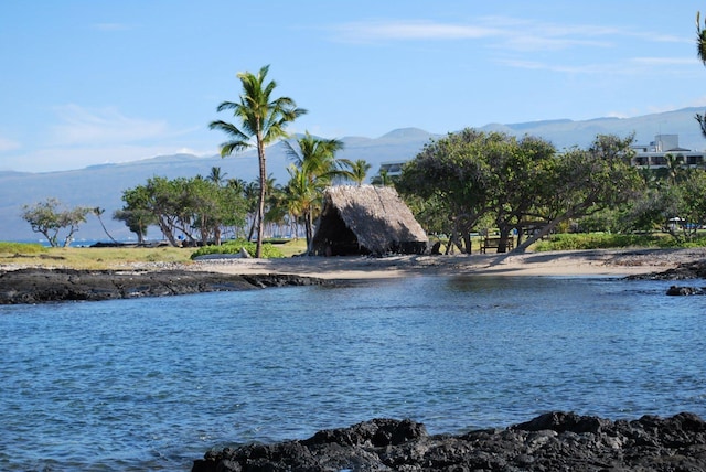 Pukaua Pl, Kamuela, HI 96743 - photo 9
