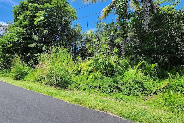 Mahimahi St, Pahoa, HI 96778 - photo 2