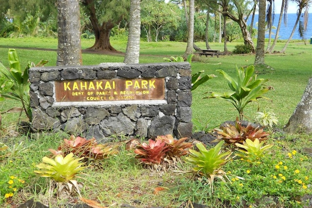 Mahimahi St, Pahoa, HI 96778 - photo 12