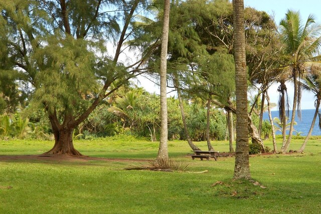 Mahimahi St, Pahoa, HI 96778 - photo 13