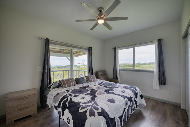 2804 Pulelehua Pl, Hilo, HI 96720 - photo 13