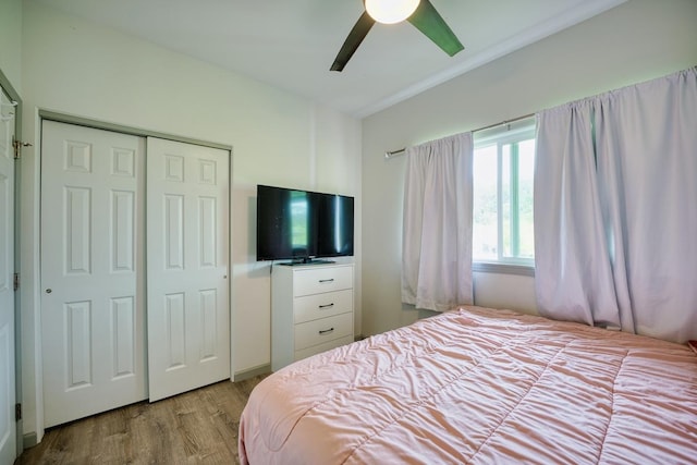 2804 Pulelehua Pl, Hilo, HI 96720 - photo 16