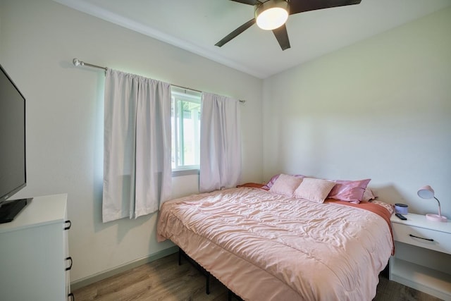 2804 Pulelehua Pl, Hilo, HI 96720 - photo 17