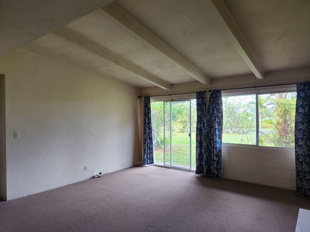 15-1724 22nd Ave, Keaau, HI 96749 - carpeted empty room featuring beam ceiling