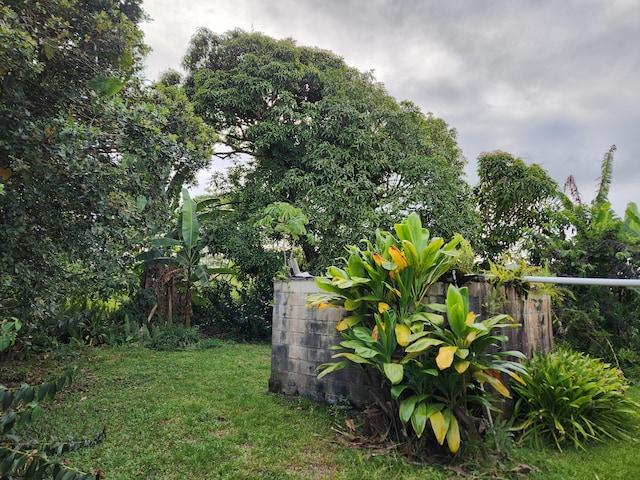 15-1724 22nd Ave, Keaau, HI 96749 - view of yard