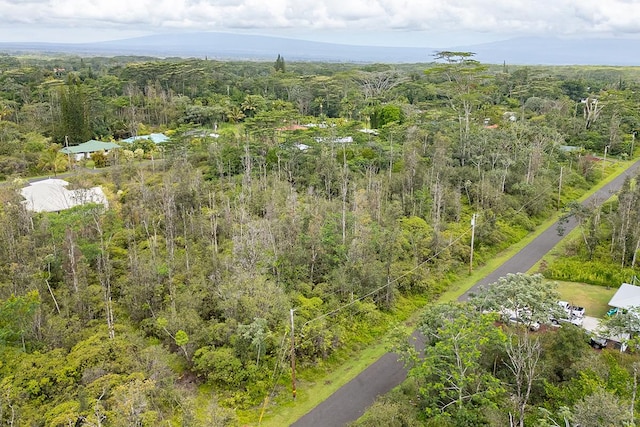 Heepali St, Pahoa, HI 96778 - photo 10