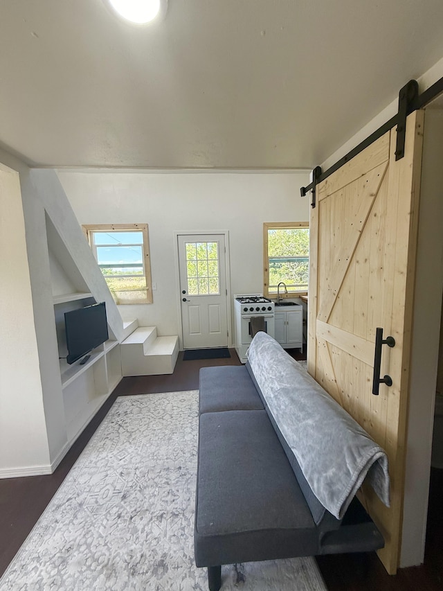 94 Pele St, Naalehu, HI 96772 - living area with a barn door and dark wood-style floors