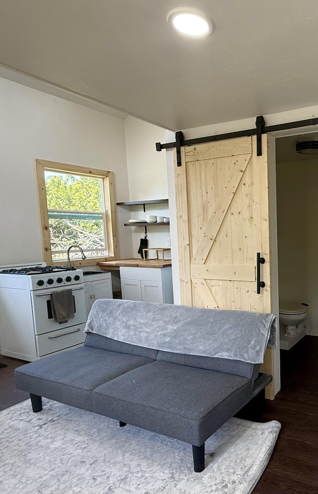 94 Pele St, Naalehu, HI 96772 - bedroom featuring a barn door and dark wood-type flooring