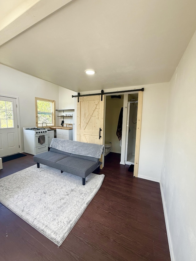 94 Pele St, Naalehu, HI 96772 - bedroom with a barn door, dark wood-style flooring, and recessed lighting