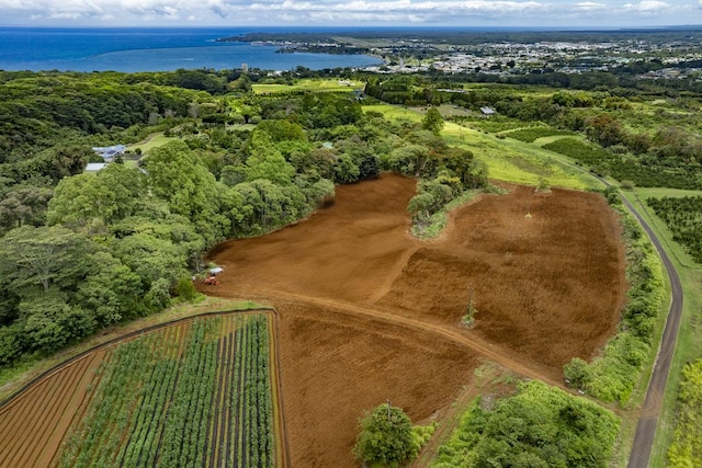 1436 Maikalani St, Hilo, HI 96720 - aerial view of property and surrounding area featuring a nearby body of water