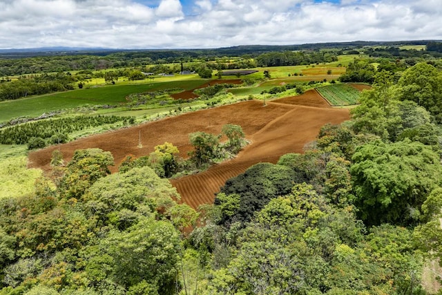 1436 Maikalani St, Hilo, HI 96720 - view of rural area