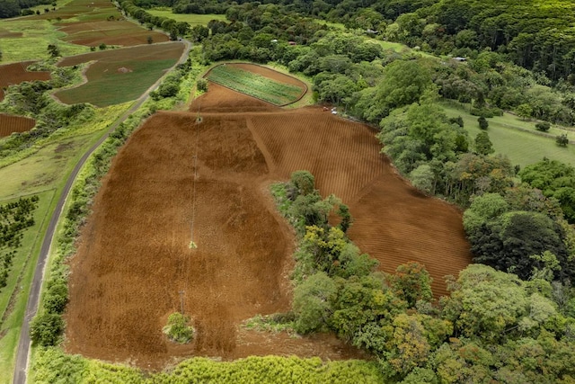 1436 Maikalani St, Hilo, HI 96720 - view of rural area