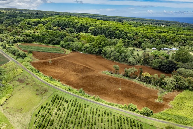 1436 Maikalani St, Hilo, HI 96720 - aerial view of property and surrounding area featuring a forest